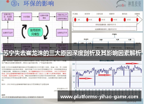 苏宁失去崔龙洙的三大原因深度剖析及其影响因素解析 苏宁失去崔龙洙的三大原因深度剖析及其影响因素解析